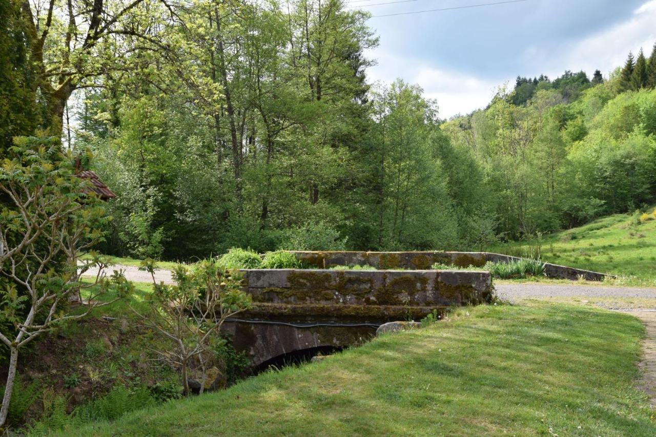 Vacance Conviviales Dans Les Vosges 8 Gites Ban-de-Sapt Eksteriør billede